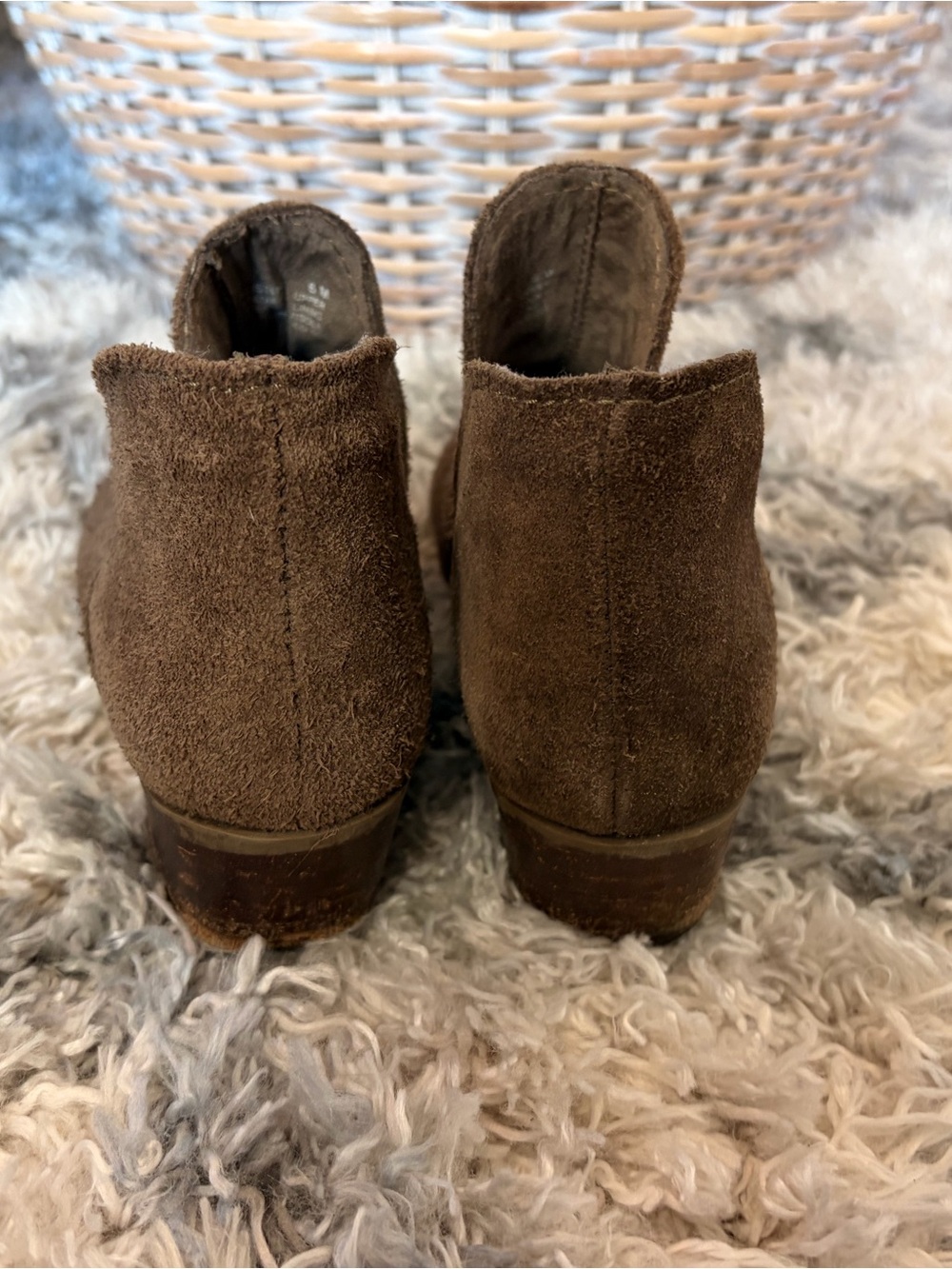 Steve Madden Suede Austin - Picture 4 of 6